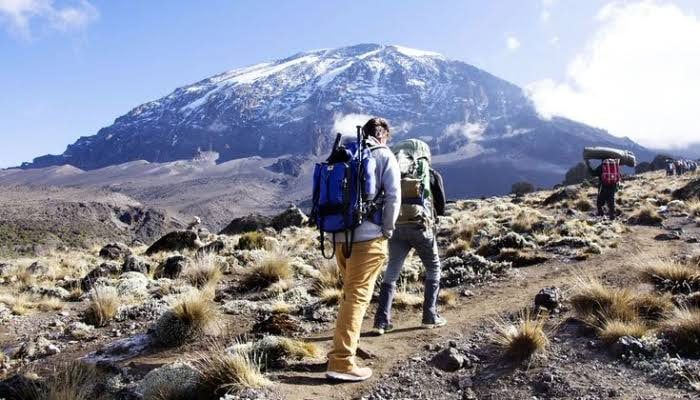 Open moorland on Kilimanjaro with a climber on the trail