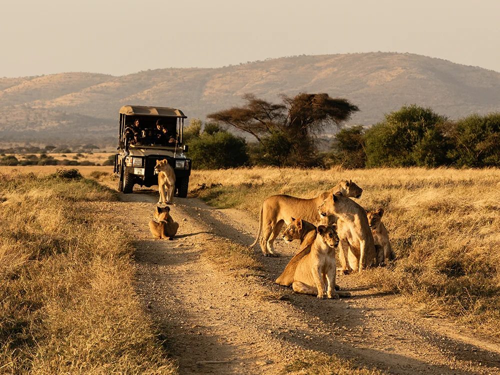 Northern Circuit Classic Safari