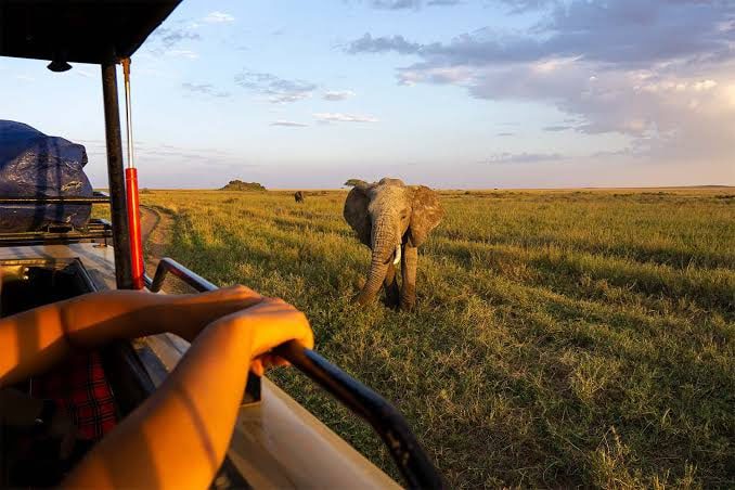 Serengeti National Park Safari