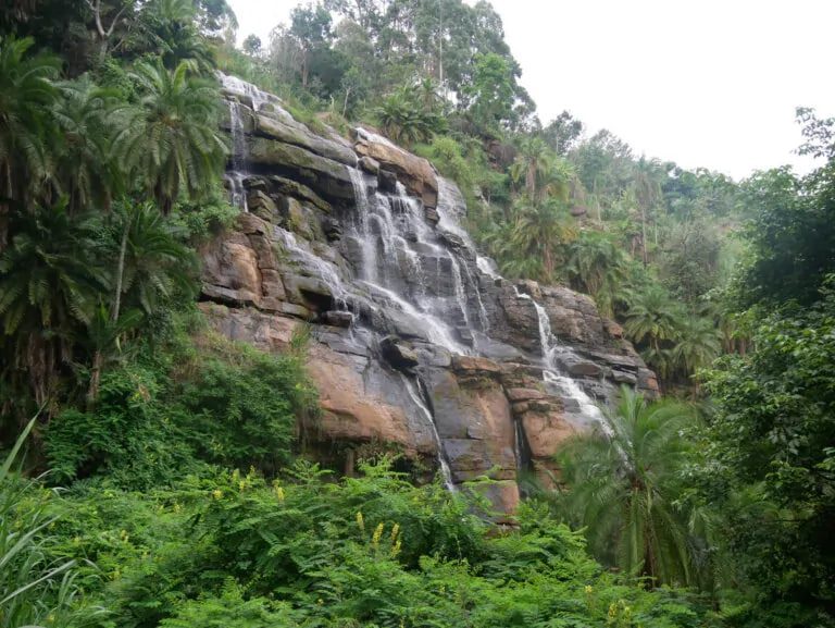 Usambara Mountains Trek