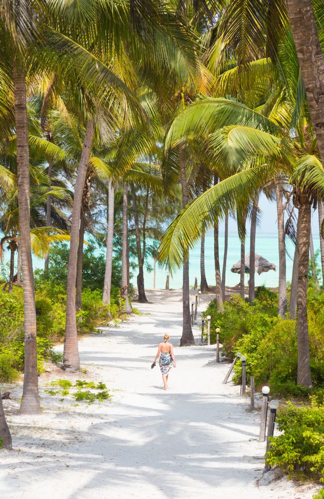 locavish travel zanzibar