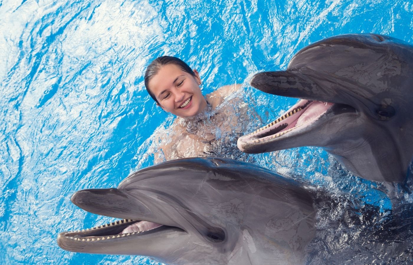Swimming with Dolphin