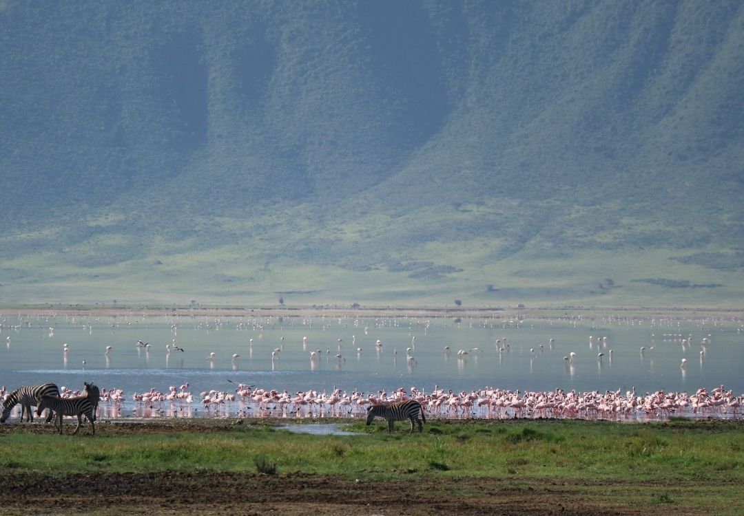 6 Days Northern Circuit Classic Safari locavish travel(17)