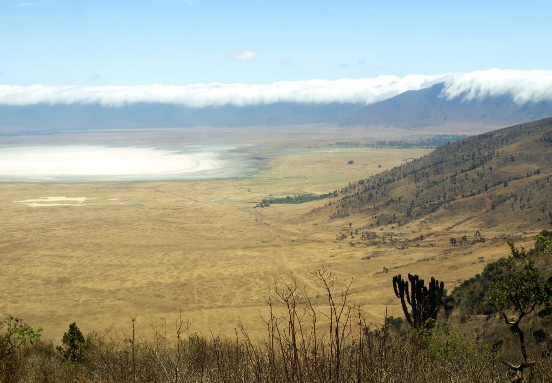 7 Days Great Migration & Big Five Safari locavish travel(20)