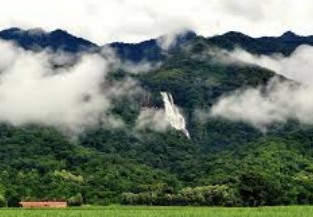 7 Days Southern Tanzania Highlights