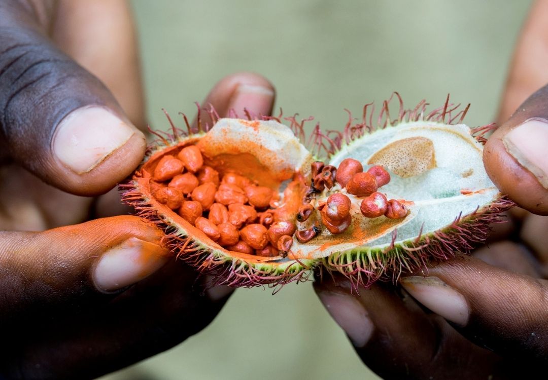 Zanzibar Spice Farm Experience locavish travel(48)