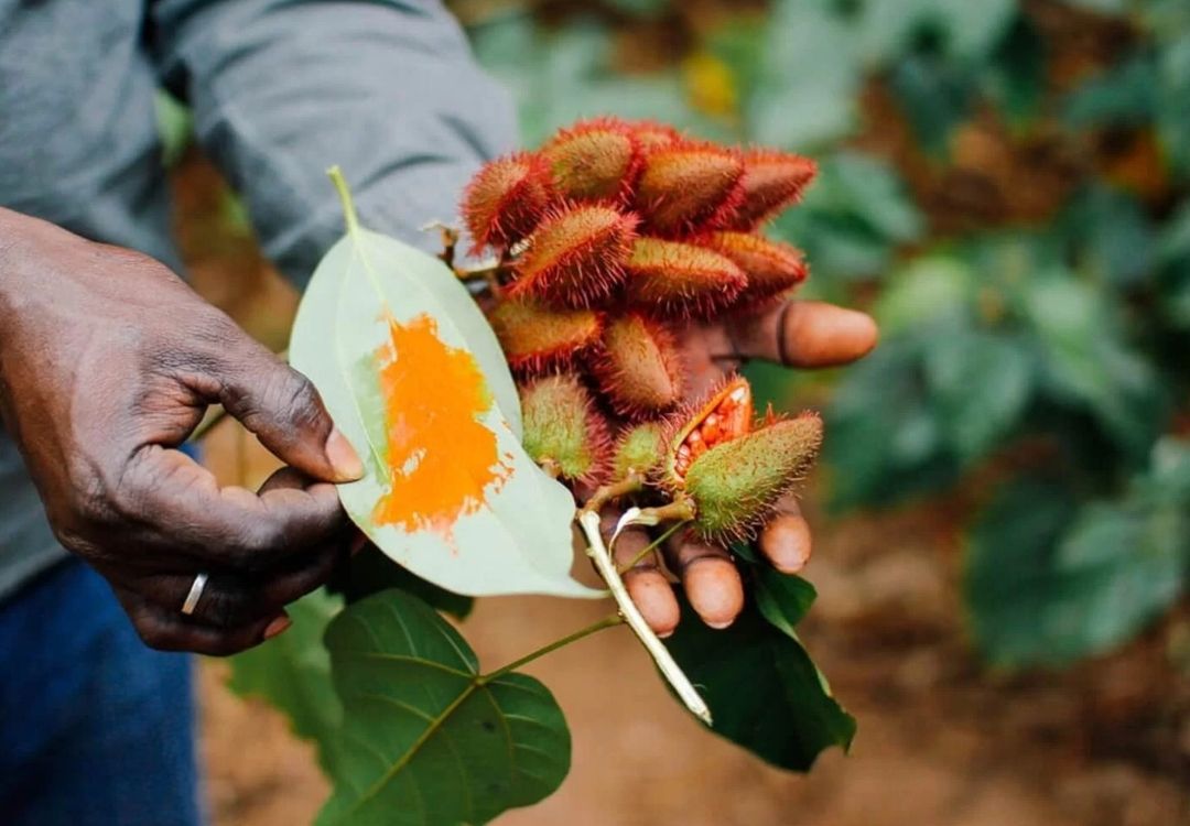 Zanzibar Spice Farm Experience locavish travel(49)