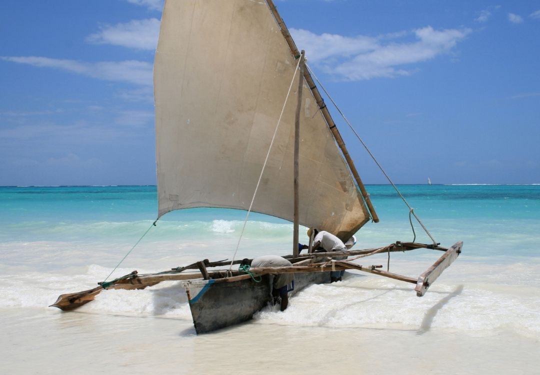 Safari Blue Full-Day Sea Adventure locavish travel(54)